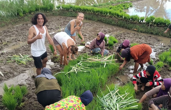 Lingkung Park Tetebatu - Foto 10