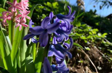 Ferienwohnungen Willrich - Foto 15