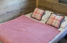 APPARTEMENT PLEIN SUD AUX SAISIES N°6 - Foto 18