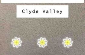 The Orchard Apartment, Clyde Valley - Foto 74