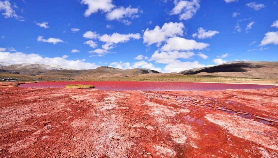The Red Lagoon