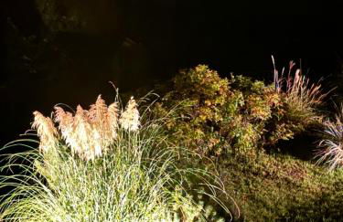 Landhaus am Rebstock Ferienwohnung Möwe - Foto 16