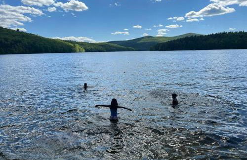 Vermont Ski Home Lake Home - Foto 53