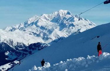 L'appartement LES BOSSONS en lisière de forêt dans le chalet Génépi - Foto 11