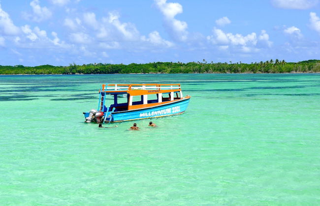 Eco Park Inn - Foto 34