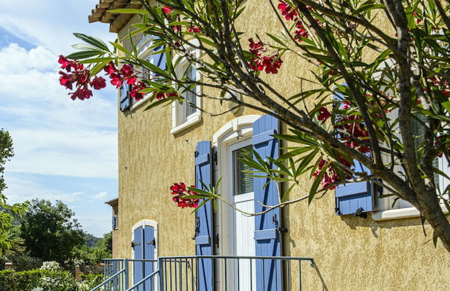 Domaine du Clos des Oliviers - Foto 45