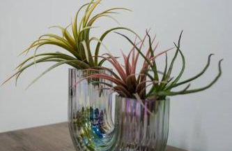 Guest House Marittima - Foto 8