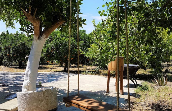 Farm House in Bio Orange Plantation - Foto 12