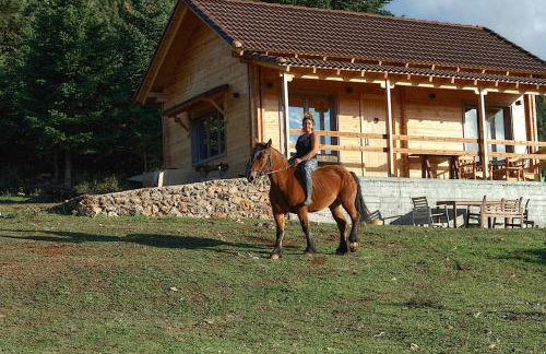 The Farmhouse - Photo 43