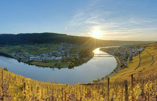 Flussbett - Appartement an der Mosel - Foto 7