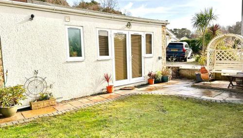 Little Dragons - Foto 2