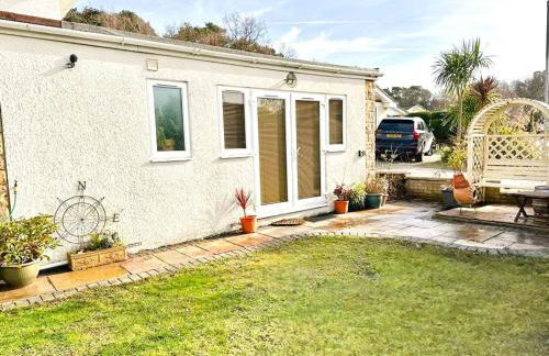 Little Dragons - Photo 2