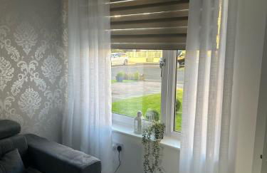 Black Daisy - Foto 57