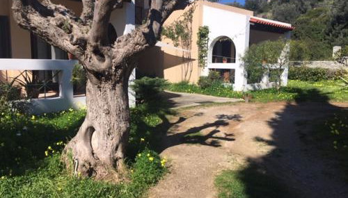 Oneiro - Foto 3