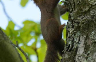 Appartements détente & nature - Domaine de La Thiau - Photo 86