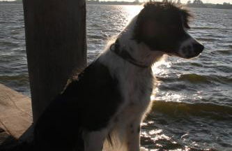 Ferienwohnung Zimmert - Photo 12