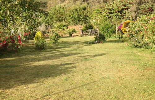 The Dragonfly Retreat - Photo 32