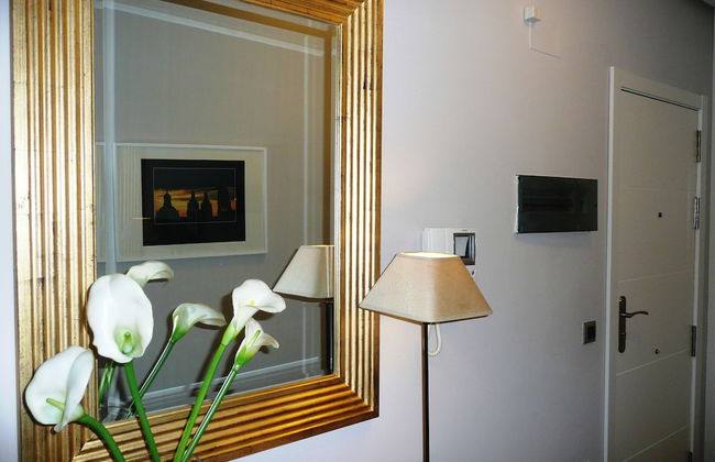 Salamanca Centro Apartamentos - Foto 46