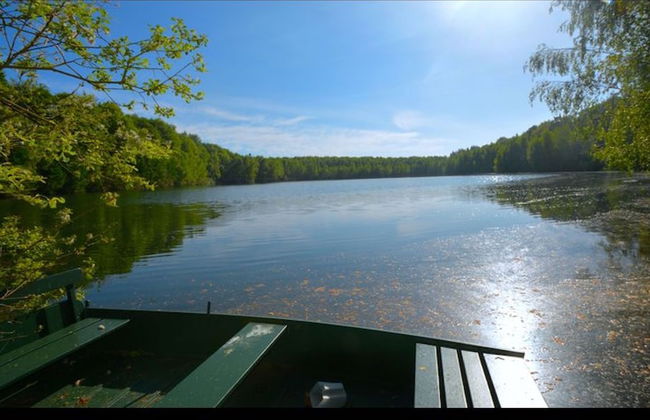 Treeloft Adventure in Nature for 4 People 8 - Foto 9