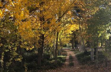 Casa Rural Sabika - Photo 18