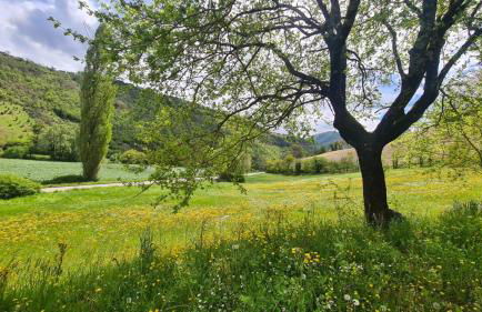 B&B Casa Zia Cianetta Residenza di Campagna - Foto 12