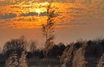 Agroturystyka Traperska Osada - Foto 42