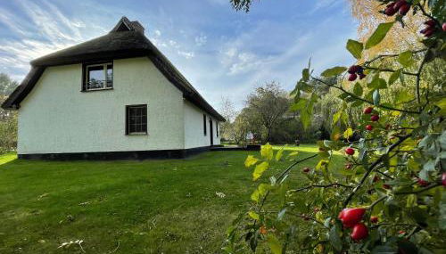 Ferienhaus mit Reetdach - Photo 5