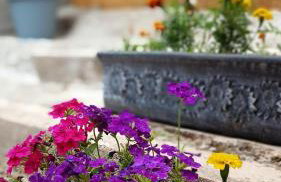 Noel's dreams - Foto 25