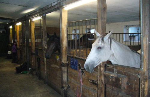 Ferienhof Drewes Ranch - Foto 4