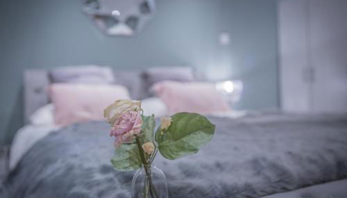 Sea Front Cottage - Foto 5