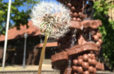 Ferienhaus Zur Mainpforte - Foto 28