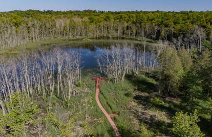 The Rushes - Foto 75