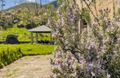 Casa Rural LOS MILLARES - Foto 12