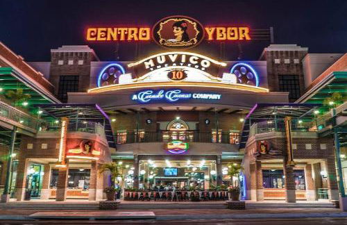 Green house - Foto 22