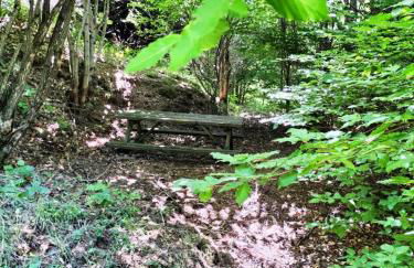 Peaceful and comfortable gite with valley view - Photo 4