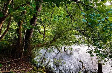 Dworek nad jeziorem z prywatną plażą - Photo 19