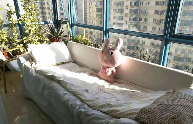 Golden guesthouse - Foto 1