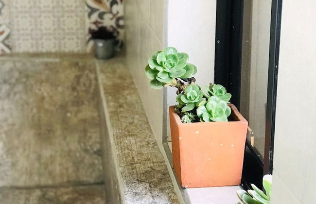 ecohotel zona 7 - Photo 68