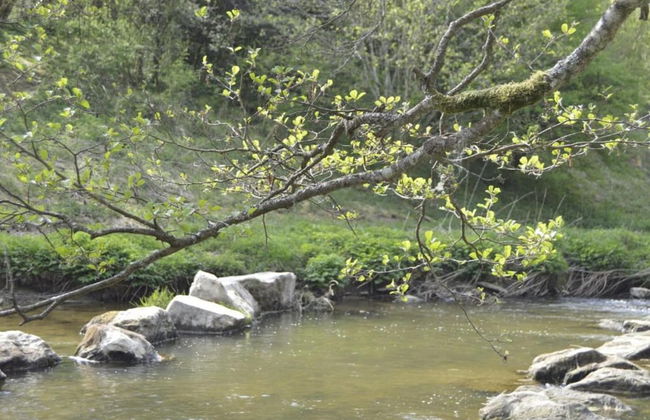 Group Villa With Sauna - Foto 25