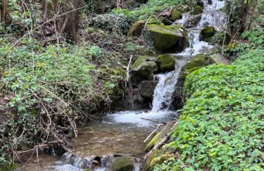 Appartamento La Serra - Foto 16