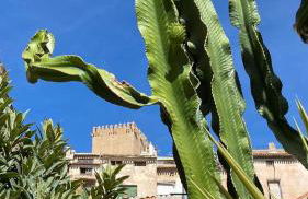 Casa rural Cora de Tudmir - Foto 6