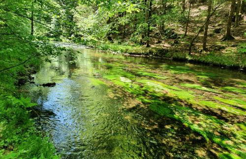 Privathaus Wehle - Photo 15