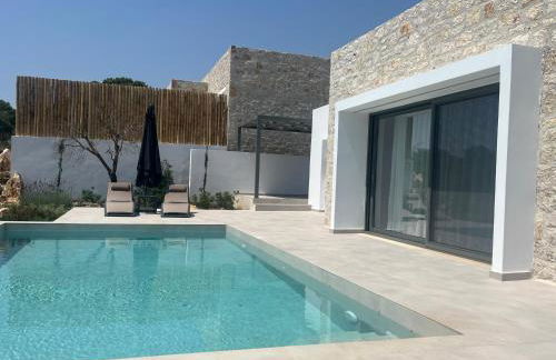 Mesogi Villas, brand new modern, stylish villas, private pool, seaviews - Photo 3