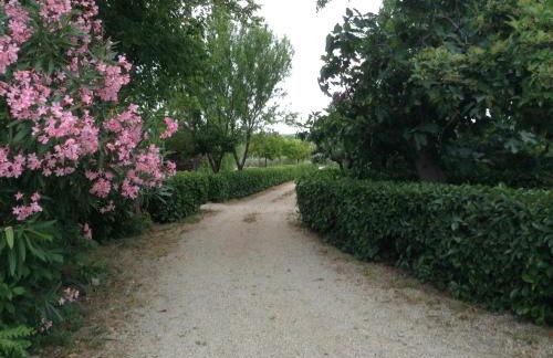 Agriturismo Santo Stefano - Foto 20