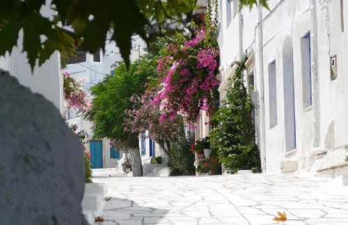 Elva House - Foto 40