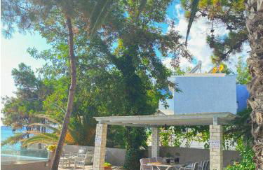 Ktima Papaoikonomou 2 - Foto 41