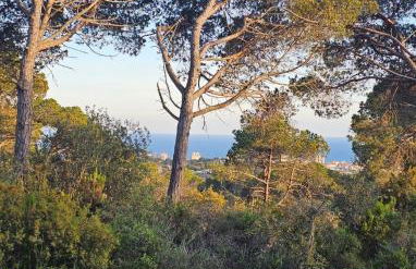 Entre Mar y Montaña - Foto 47