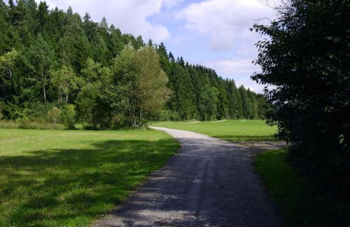 Ferienwohnung im Kappeler Wald - Photo 35