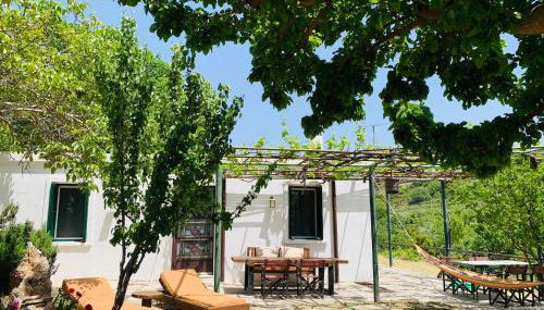 Temenia House - Foto 5, Garden