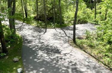 Crosslake Treetop Escape - Foto 24